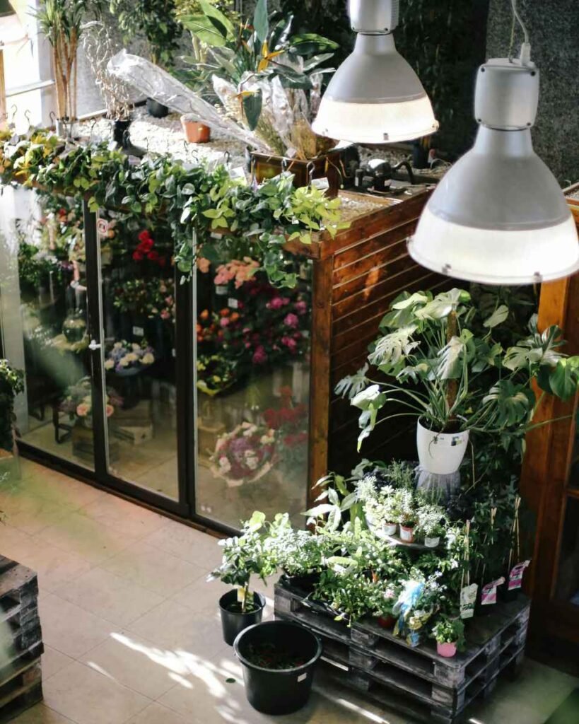 Jardim de inverno