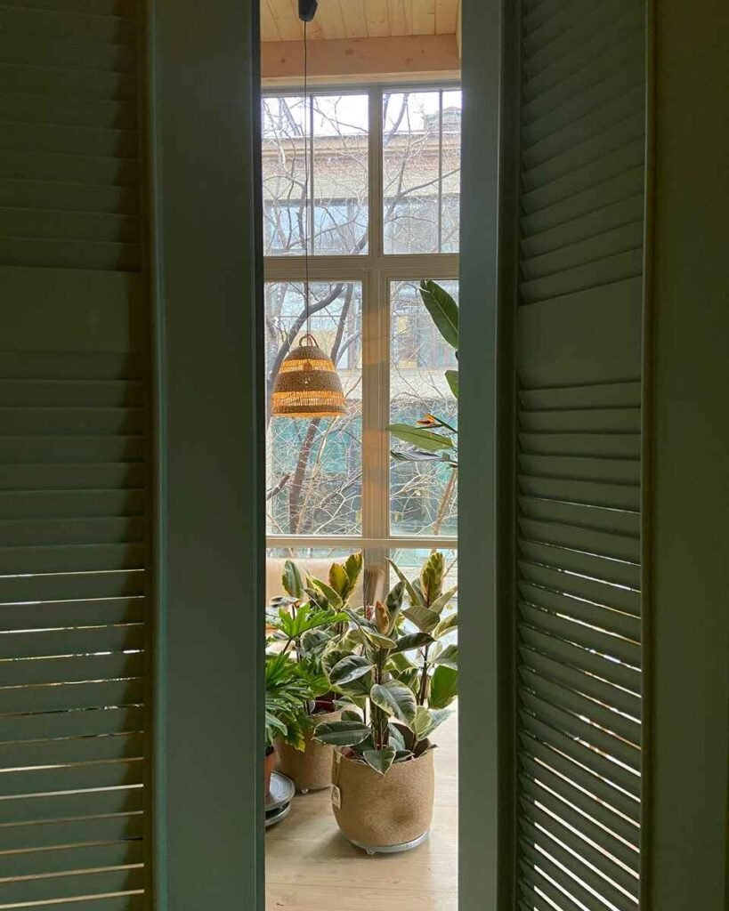 janela de frete para floresta
