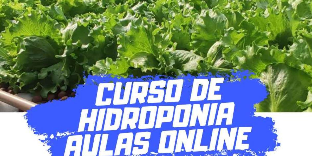 Curso de Hidroponia: Análise Completa e Vale a Pena?