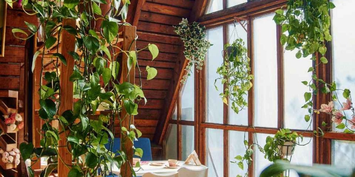 Área verde 