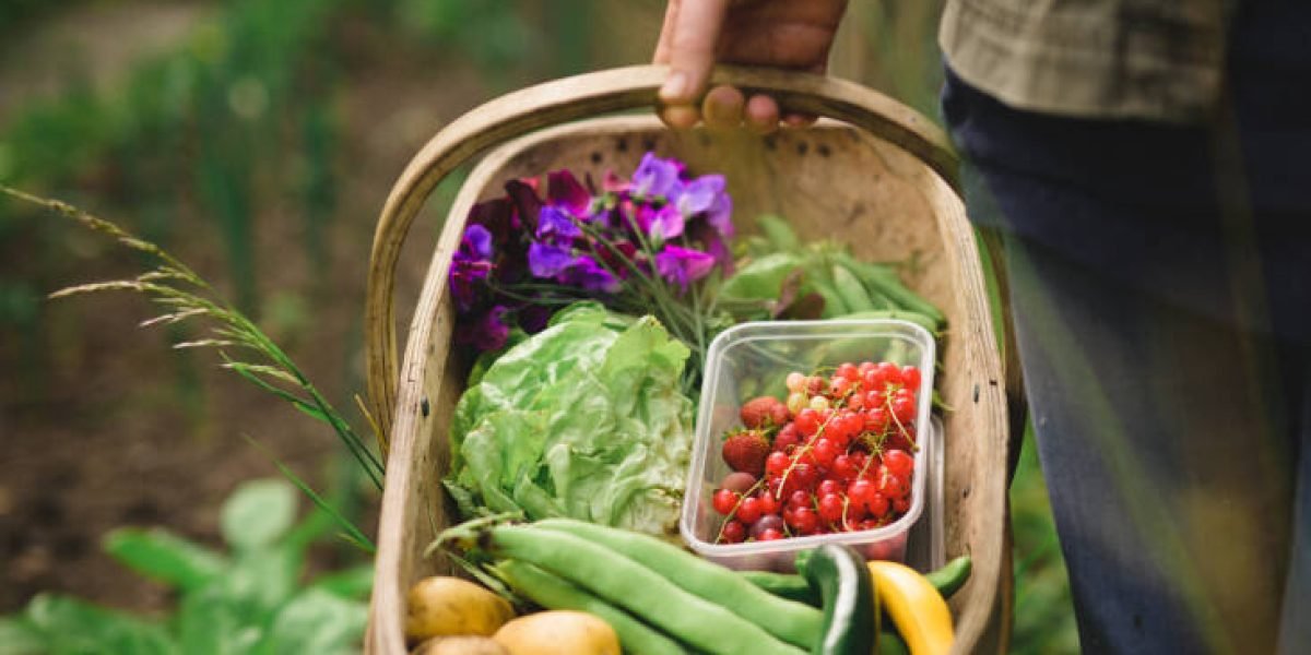 Você Sabia Que Existem Centenas de Alimentos Que Podem Melhorar Seu Bem-Estar?