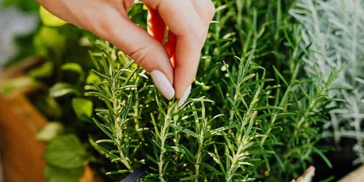 O Segredo Surpreendente para Fazer Seus Erros se Transformarem em Sucessos