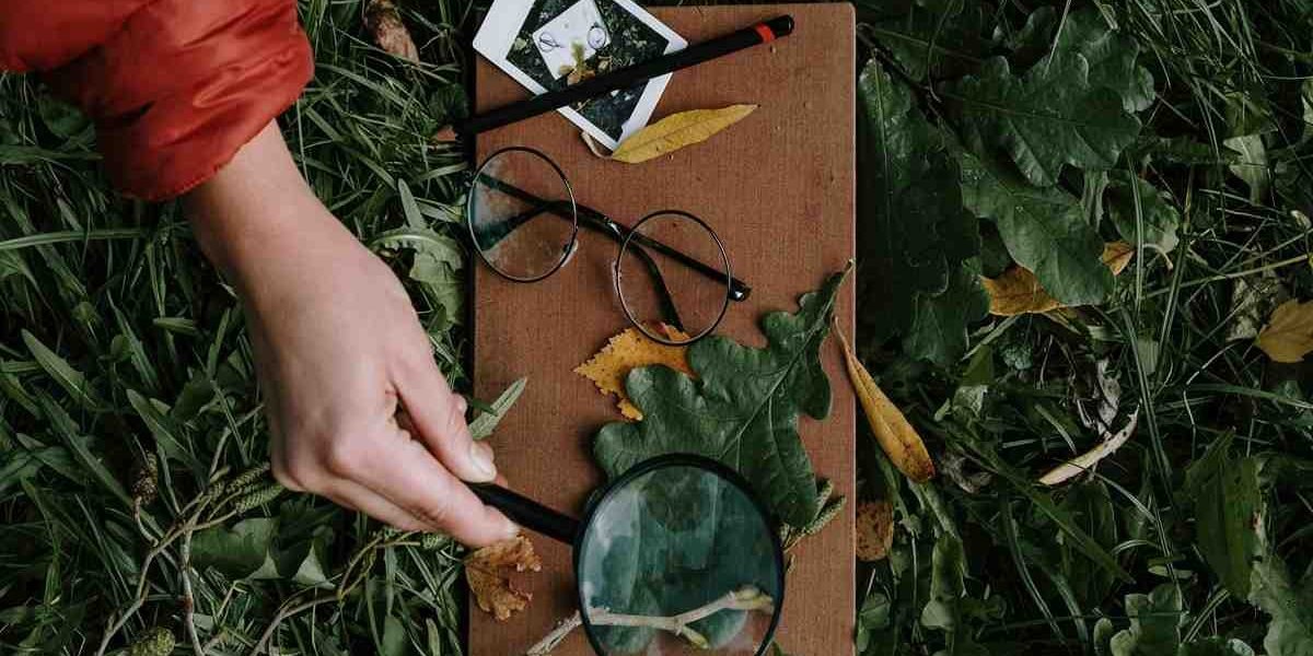 Mãos observando atentamente uma folha de planta, com lupa.