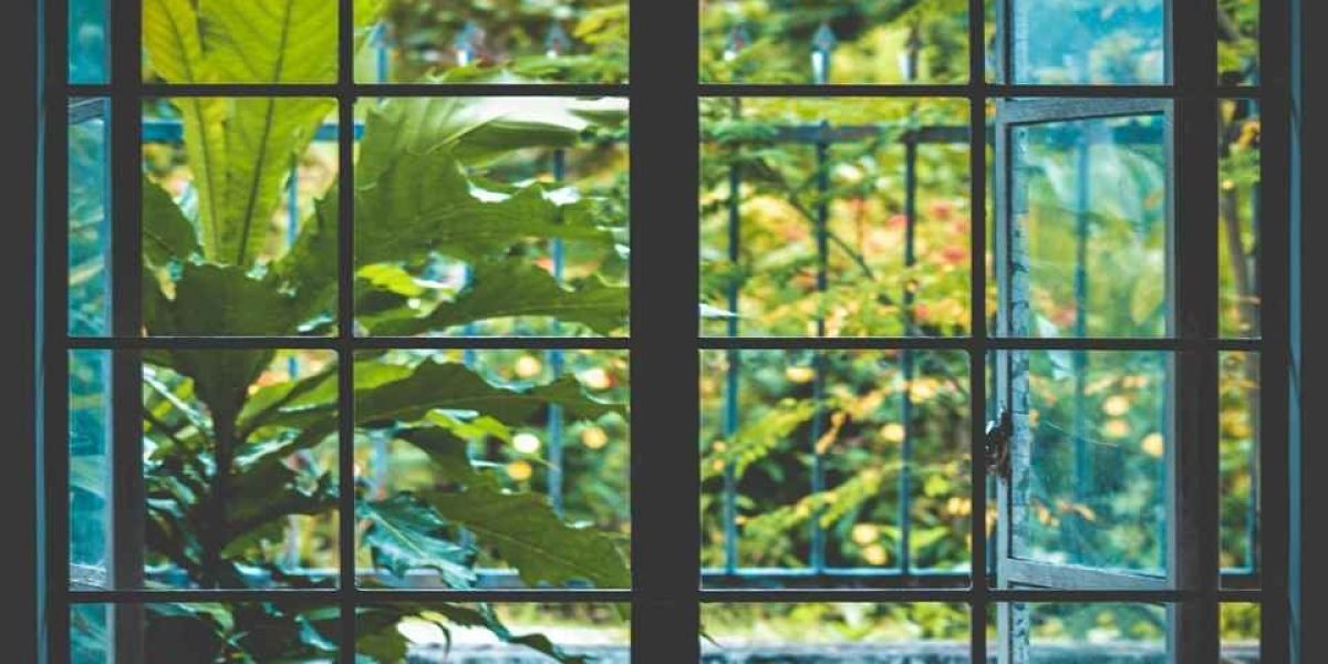 janela de frete para floresta 